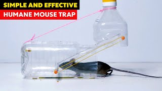 How To Make Rat Trap With Bottle Easy Rat Trap Ideas - Mouse Trap Homemade
