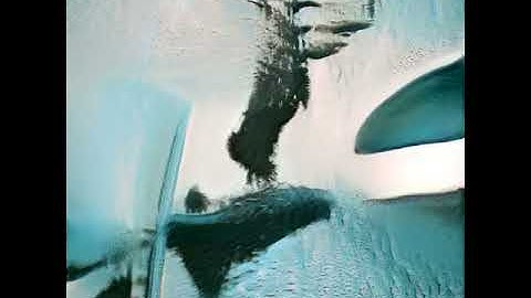 The Diver - Latent Space Walk 1