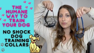 THE HUMANE WAY TO TRAIN YOUR DOG USING A NO SHOCK COLLAR || DOES IT WORK? || JACKELYN SHULTZ