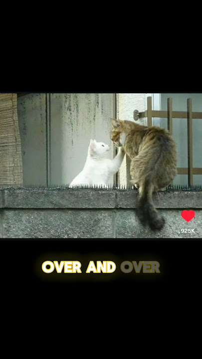 Dikning uy qurilishi porno fotosuratlari Lesbian video külot ichida