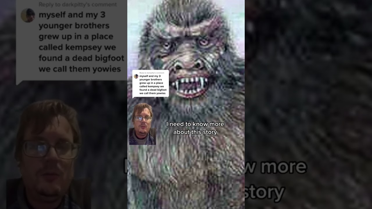 Bigfoot Encounter: Unalived Yowie in New South Wales, Australia #shorts, #bigfoot #australia
