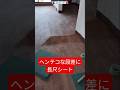 ヘンテコな床に長尺シートを貼ってみたが・・・　#床シート #長尺シート #リノリューム #shorts