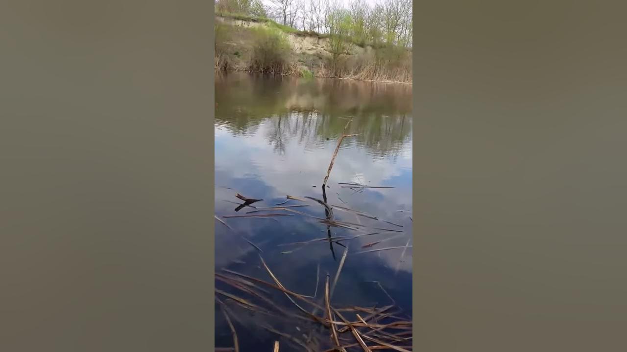Рыбалка-Ебалка - YouTube