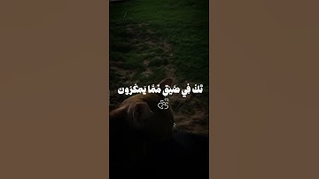 اكتب شيء تؤجر عليه 💜😴 #القارئ عبد الباسط