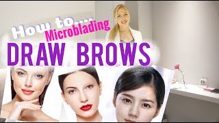 How to Draw Eyebrows for Microblading || Shapes Overview