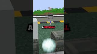 Whats The Item? #minecraft #shorts #minecraftshorts