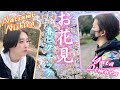 桜を逃した方もオススメ🌸春ピクニックでお花見と外ご飯【小金井公園Vlog】