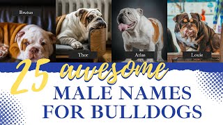 25 Strong Male Names for Bulldogs