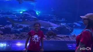Agatha visita o Aquario de Toronto e se encanta com o Axolote