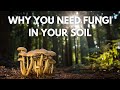 Why You NEED Fungi In Your Soil