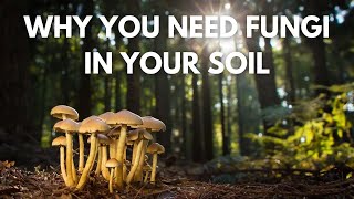 Why You NEED Fungi In Your Soil