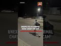 Unexpected AI vs Animal Chase Caught on Camera in Poland #poland #airobot #breakingnews