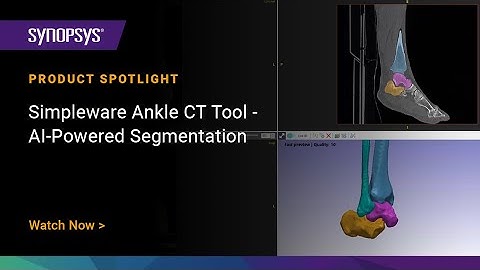 Simpleware Ankle CT Tool - AI-Powered Segmentation