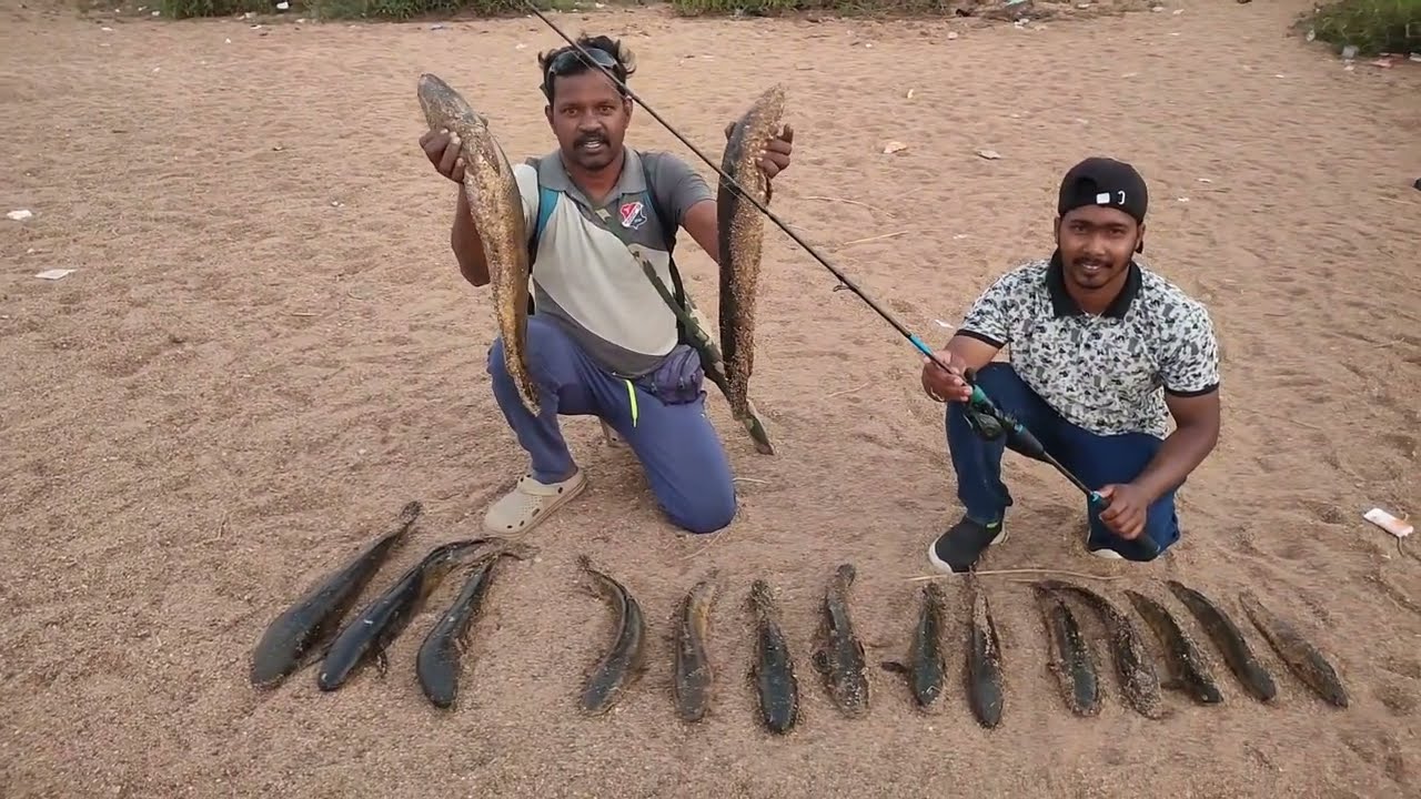 Snakehead fishing. Morrel fishing. Seula fishing. Fish & fight. Frog fishing. Fishing adventure