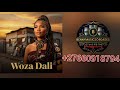 Ndou advocate woza Dali wami (música Offcial )2026 Africano