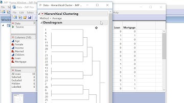 JMPPRo Hierarchicahl Cluster Tutorial