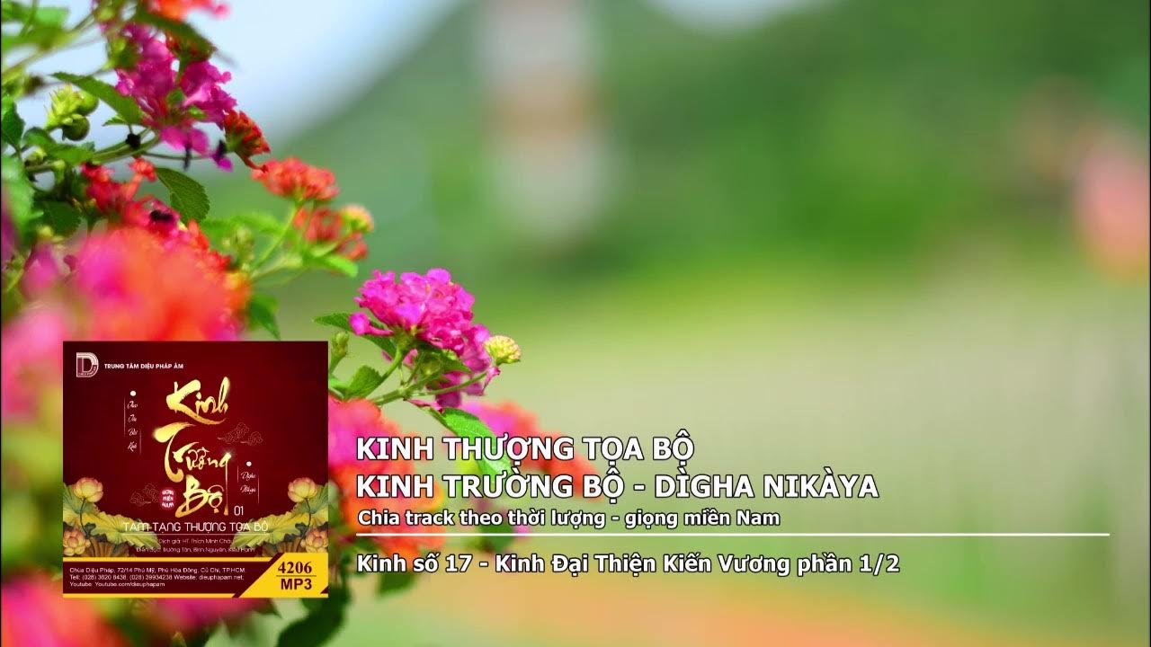 K.số 17 – K.Đại Thiện Kiến Vương phần 1–2 giọng miền Nam 