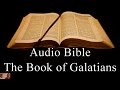 The Book of Galatians  - NIV Audio Holy Bible - High Quality and Best Speed - Book 48