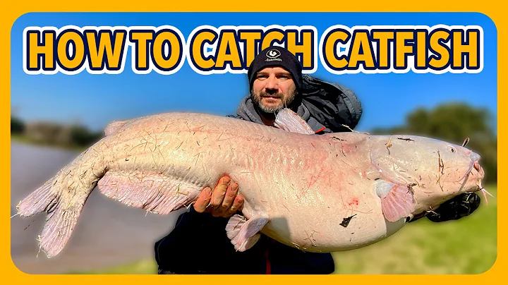 The ULTIMATE GUIDE On How To Catch CATFISH. Rods, Hooks, Leaders, and More