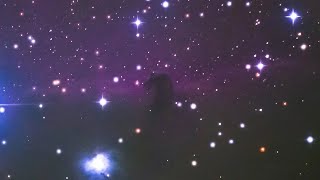 2 Minutes of Horsehead Nebula Live View through my Telescope