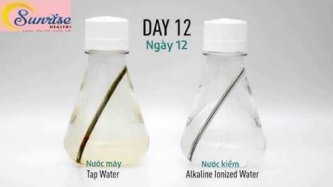 Thí Nghiệm Khoa Học Tính Chống Oxy Hoá Cao Của Nước Kiềm