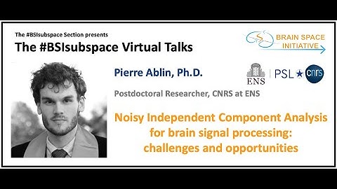 Noisy Independent Component Analysis for brain signal processing: challenges and opportunities