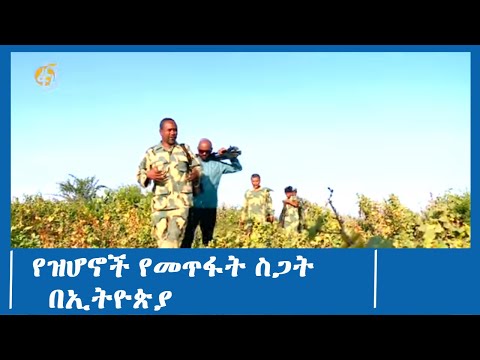 ቪዲዮ: ታንክ ዝሆን (ኦሊፋንት) - የደቡብ አፍሪካ ዋና የውጊያ ታንክ፡ መግለጫ፣ ባህሪያት፣ አምራች፣ ፎቶ