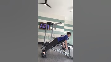 Chest-Supported Incline DB Row