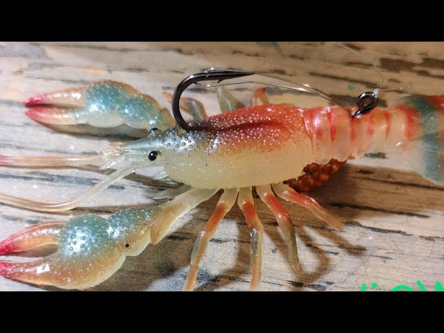 Chasebaits Australia - The #MUDBUG . Have you tried one of these