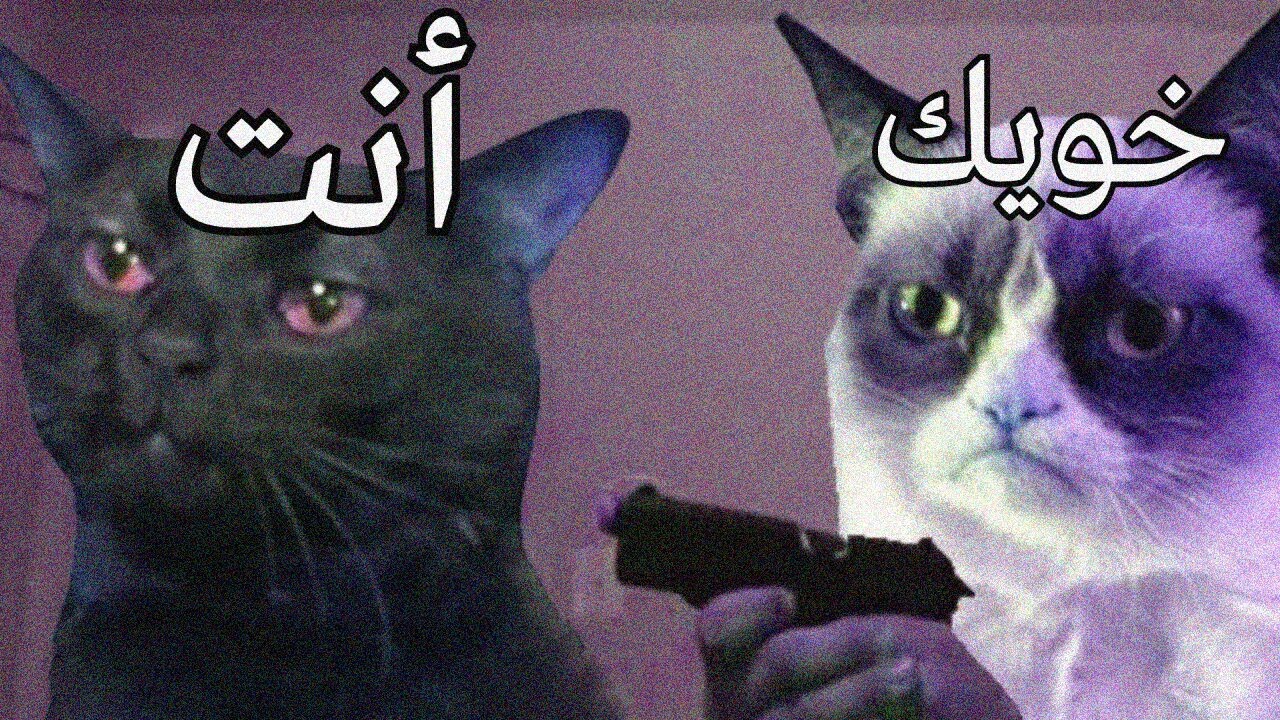 قد ايش توثق في اصحابك؟