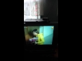 Наш добрый простой ЕРАЛАШ 