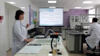 Султанова Н В Урок химии Султанова Н В Урок химии