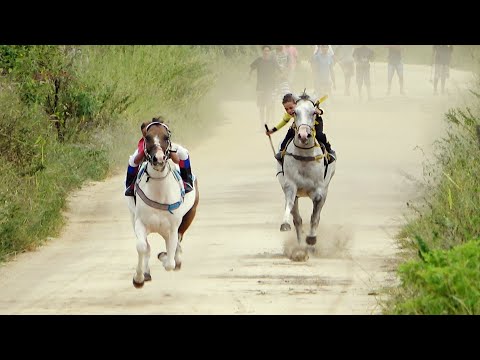 Vídeo: Em uma corrida de cavalos existem 18 cavalos?