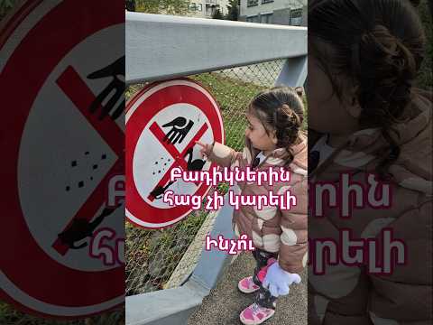 Don T Feed The Ducks