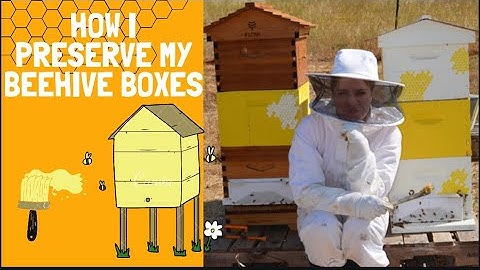 How To Preserve BeeHive Boxes | The Urban Lady Bug