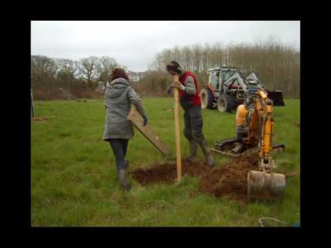 Vidéo: Comment Planter Un Pommier à L'automne