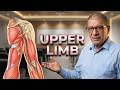 Practical anatomy; upper limb, 1st lecture