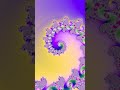 Royal Bloom · 4K Fractal 🌀 #Shorts
