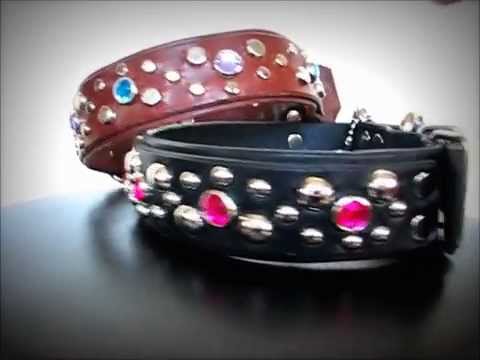 1.5-inch-solaris-lux---leather-dog-collar