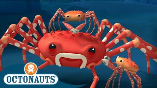 @Octonauts - The Spider Crab | Full Episode 45 | Cartoons for Kids | Underwater Sea Education