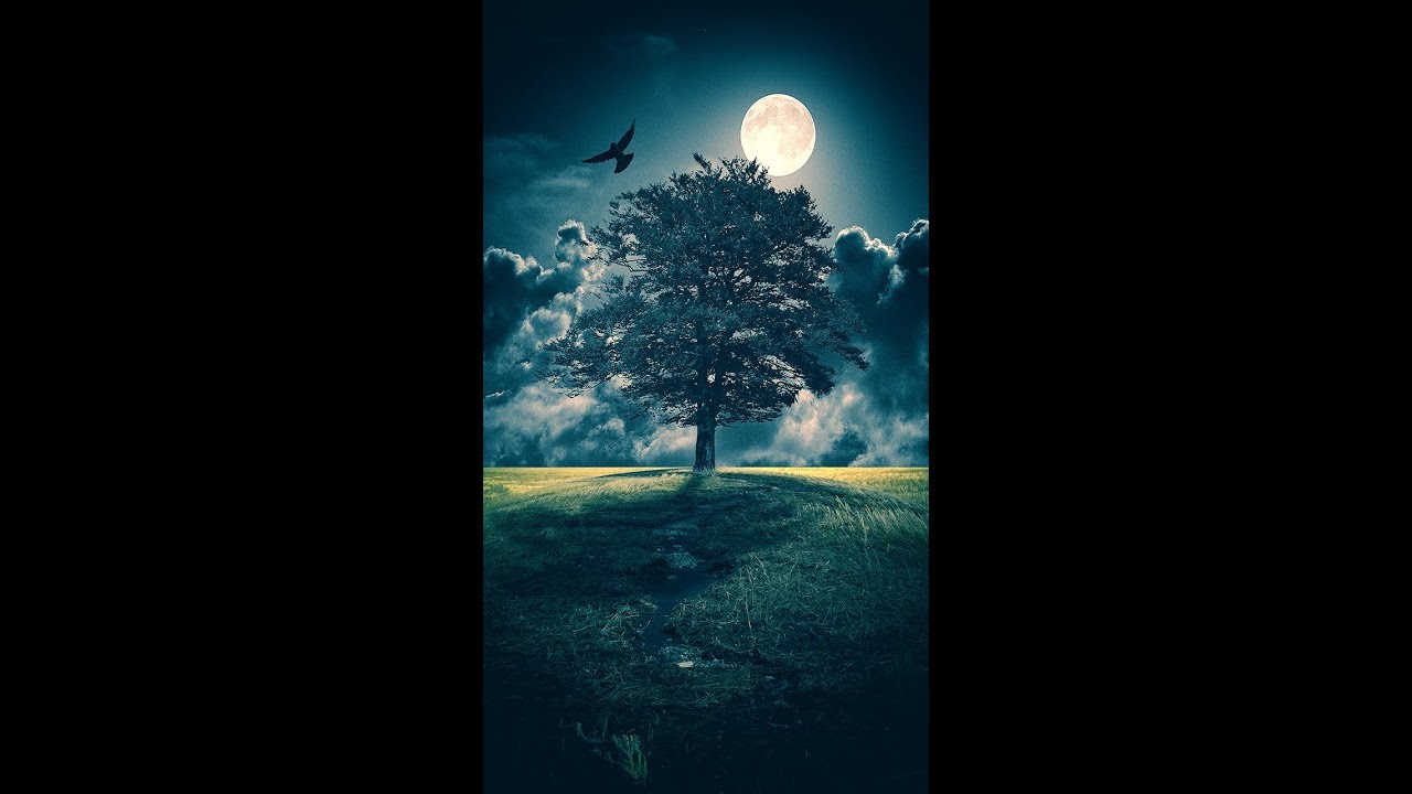 The Tree | Photoshop Manipulation Tutorial - YouTube