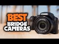 Best Bridge Camera in 2021 - The 5 Best Cameras With A Huge Zoom Lens