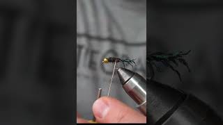 Fly Tying - Zug Bug....with a Twist.