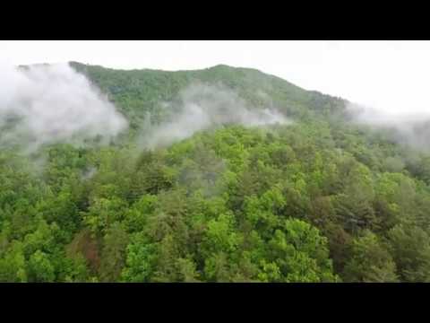 Video: Nantahala National Forest: Der vollständige Leitfaden