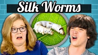 TEENS EAT SILKWORMS! | Teens Vs. Food