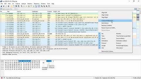 Wireshark Column customization