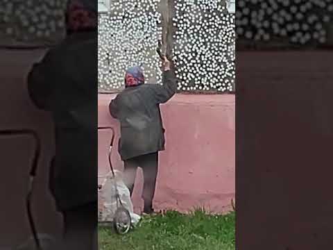Как провести незабываемый вечер в Новой Москве: Полезные советы для тех, кто не собирается ездить в центр