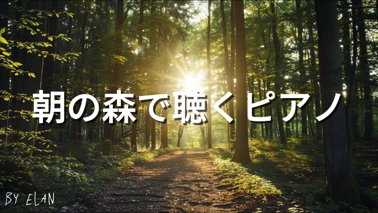 朝の森で聴く静かなピアノ | Calm Morning Piano in the Forest