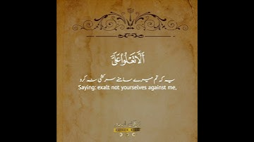 ✉️✨إنه من سليمان وإنه بسم الله الرحمن الرحيم✨ سورة النمل:٣٠,٣١|المنشاوي|An Naml:30,31|Minshawi