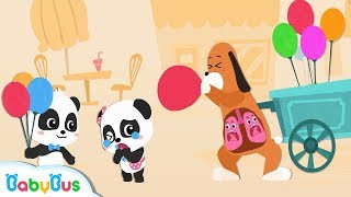 Baby Panda Blows up Big Balloons | Breathe With Your Lungs | Preparation for Kindergarten | BabyBus